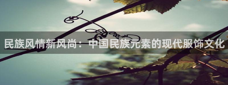 星欧娱乐2024