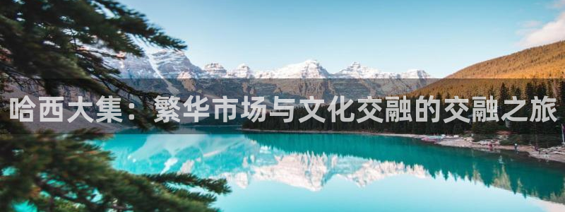 星欧娱乐平台