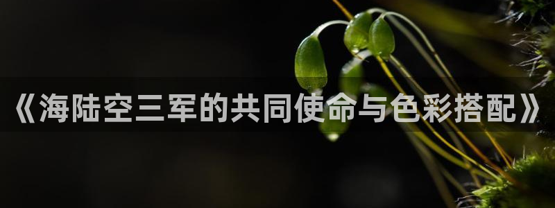 匠星娱乐政f下跪欧普软件园