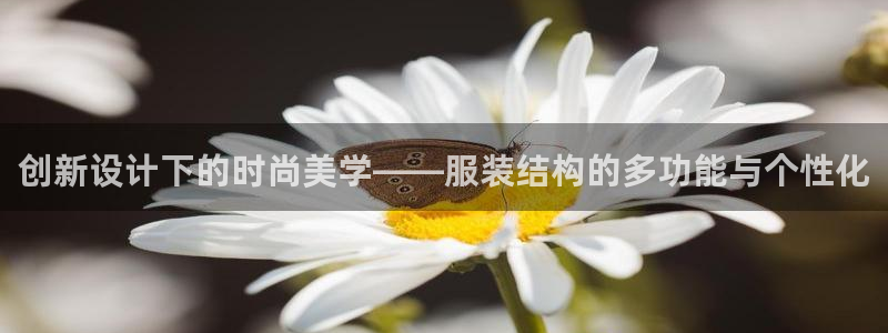 星欧娱乐经纪公司简介