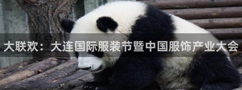 七星娱乐欧包