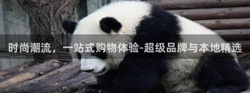 星欧娱乐2024