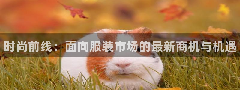 星欧娱乐扣费详情详解