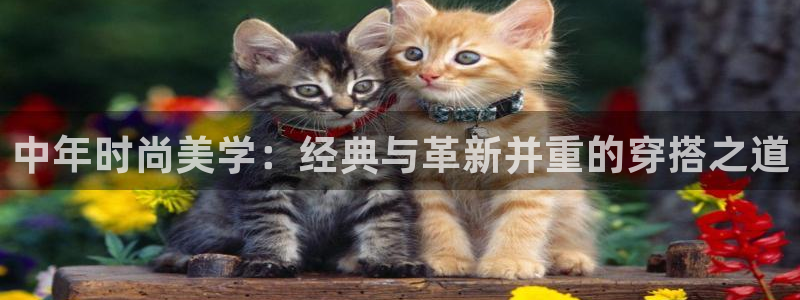 星欧娱乐平台靠谱吗