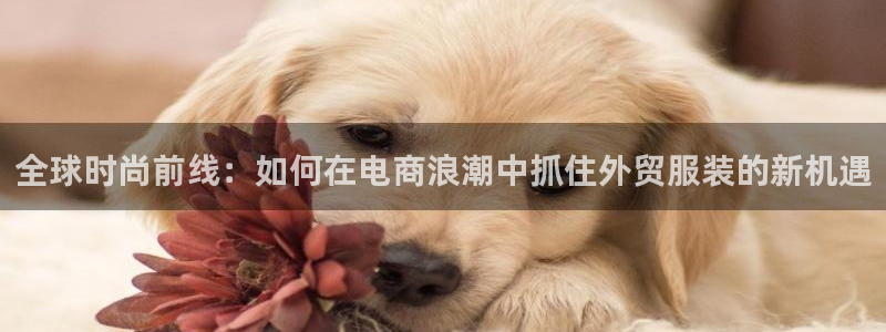 星欧娱乐平台主管