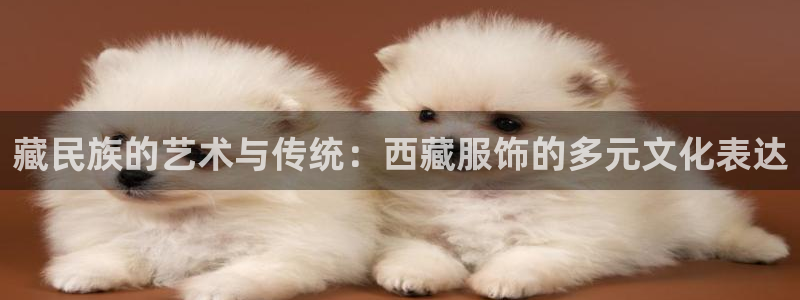 欧星娱乐 菲律宾