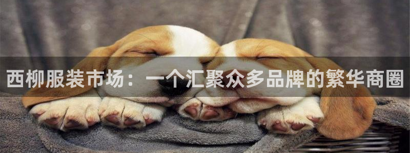 星欧娱乐注册40046