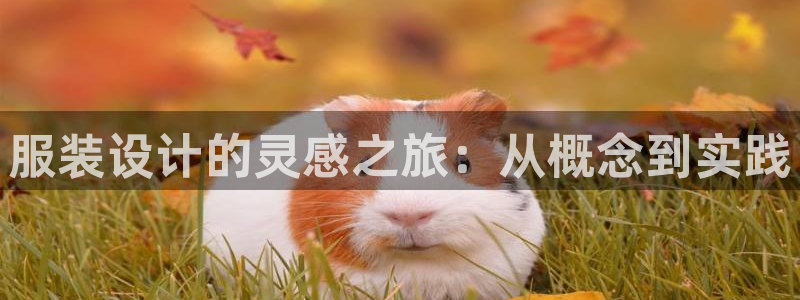 欧星线上娱乐