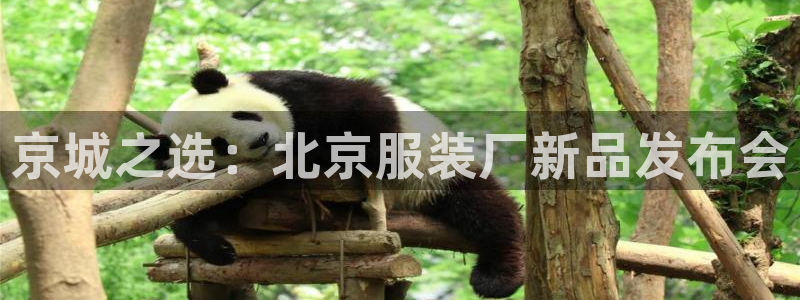 欧星娱乐 拉勾