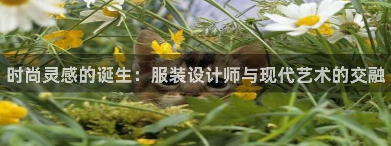 星欧娱乐官方