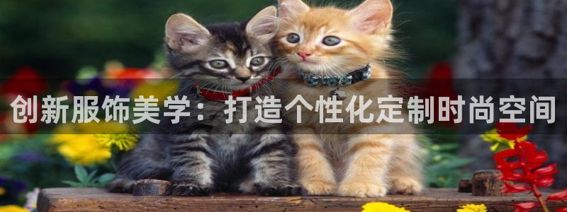 星欧娱乐官网免费下载
