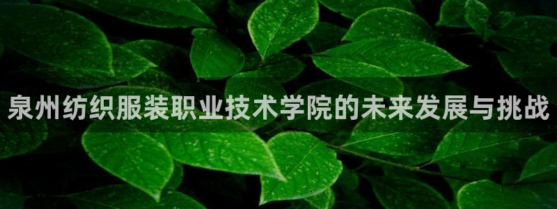 星欧娱乐官方网站