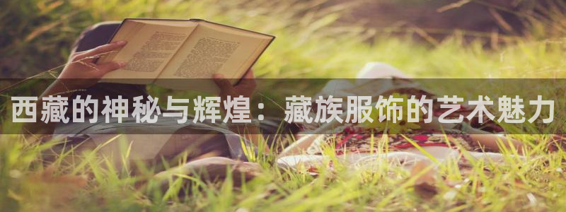 星欧娱乐扣款流程详解