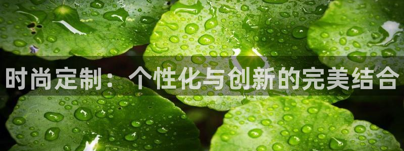 星辉娱乐欧联杯转播