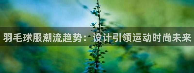 星欧娱乐2024：羽毛球服潮流趋势：设计